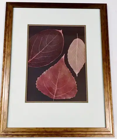Matching Wall Art Framed Large Prints w/ Leaf Design (28" x 22"), View more