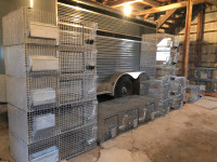 Cages pour lapins à vendre