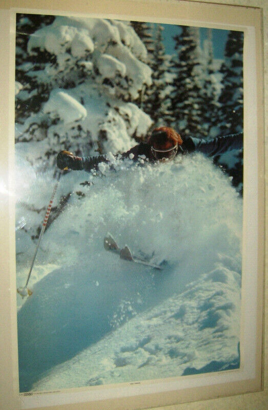 Wild Terrain Snow Factory Dahlquist #434 1977 Skiing Poster in Arts & Collectibles in St. Catharines - Image 2
