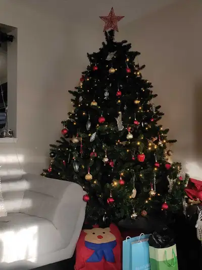 Christmas Tree, View more