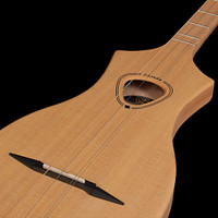 Worlds Easiest “Guitar” Seagull Merlin M4 In stock in T Bay! 