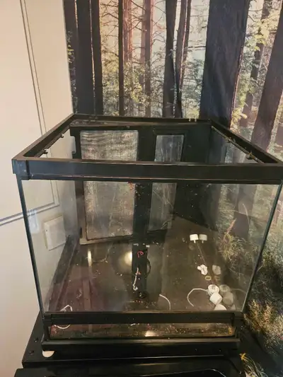 Use to have Dart Frogs but no longer in the hobby. The terrarium has a bulkhead on the bottom for ea...