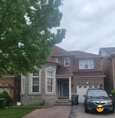 Basemnet for rent