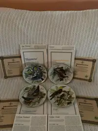 BNIB European Songbirds Collectors Plates - Set of 8