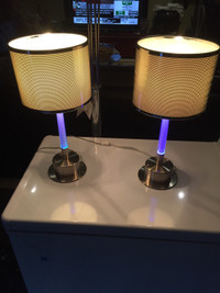 Designer Stainless Steel Lamps with led stem lights.