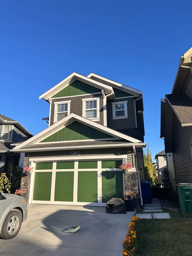 Professional Painter65561306569346121