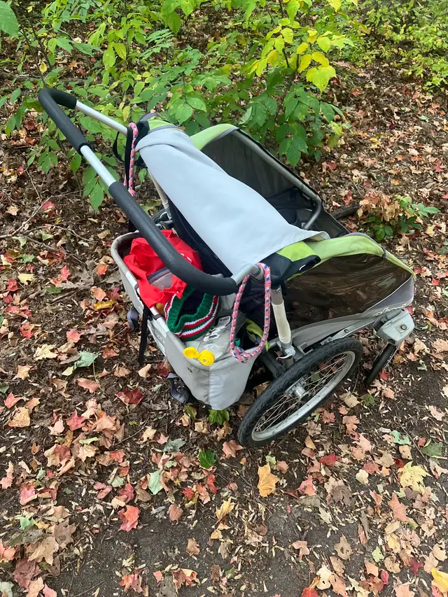 found a double stroller at McCarthy and Plante road579210834682859521