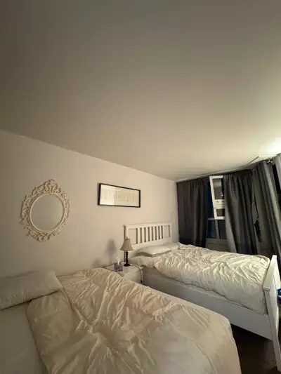 1 bedroom apartment downtown guy Concordia.