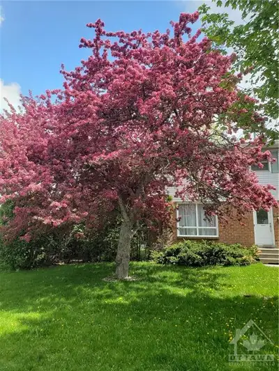 Short term rental detached house between June 26th to August 26
