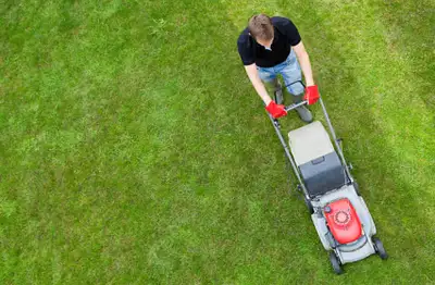  Lawn Mowing -  Fast, Affordable & Reliable!, View more