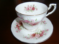 SUPER PARAGON CARNATIONS CUP AND SAUCER SET