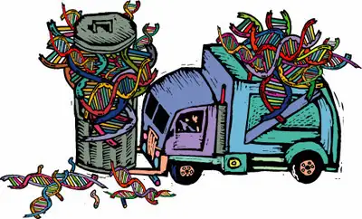 AFFORDABLE JUNK REMOVAL