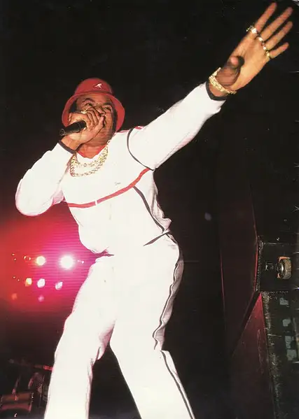 LL Cool J 12 inch vinyl Phenomenon / Hot Hot Hot record LP 1997 in CDs, DVDs & Blu-ray in Markham / York Region - Image 9