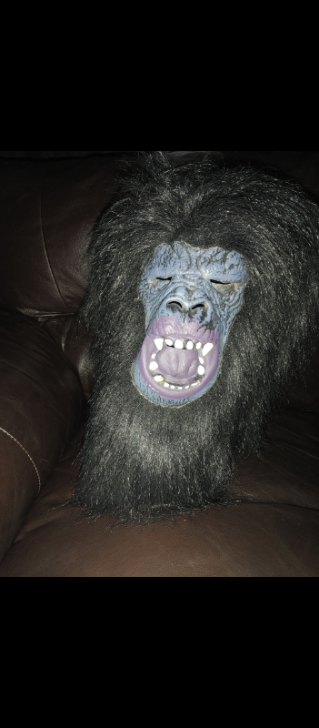 GORILLA - APE - ADULT SIZE MASK, View more