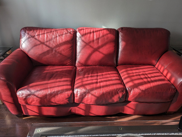 Premium Leather Sofa & Loveseat in Couches & Futons in Hamilton