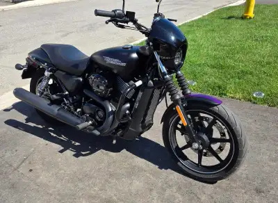 Lady ridden Sleek matte black Harley-Davidson Street 750 cruiser with a purple racing stripes which...