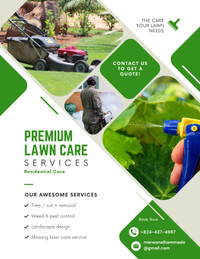 Lawn care service 