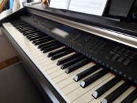 Piano Teacher in Central Windsor (all ages, in-person or online)
