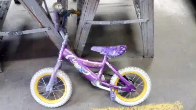 Purple Girl's Rapunzel Bike, View more