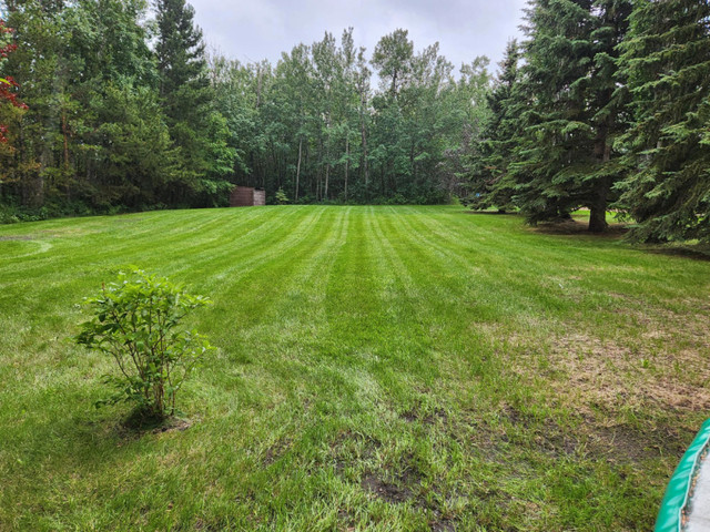 Spring Clean Up's and Lawn Care Services in Lawn, Tree Maintenance & Eavestrough in Red Deer - Image 3