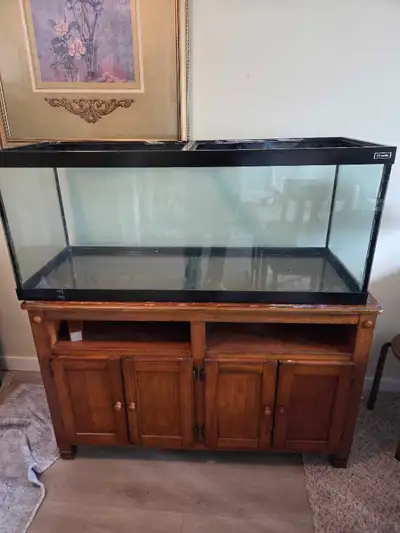 100 gal aquarium with stand, View more