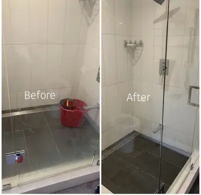 cleaning lady, View more