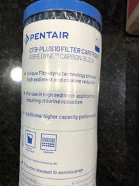 Pentair 10" Water Filter Cartridge