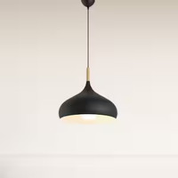 Beautiful Black Pendant Lights - Brand New/Never Used