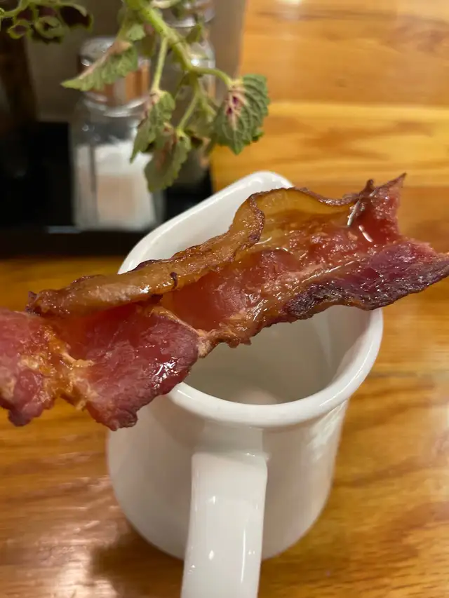 Sir Bacon Enterprize in Ontario in Canada - Image 3
