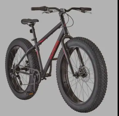 2 fat tire bikes One grey 400 One black 350