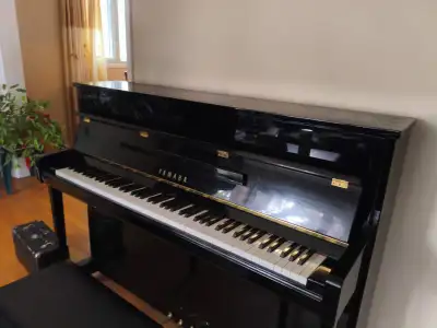  In excellent condition  Regularly tuned, with the last tuning in November 2025  Comes with a mar...