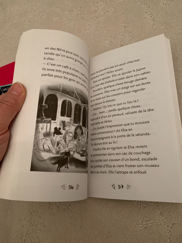 Chez Miaou in Children & Young Adult in Kingston - Image 4