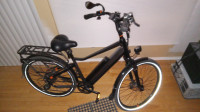 RadCity 5 Plus Ebike High-Step (loaded)