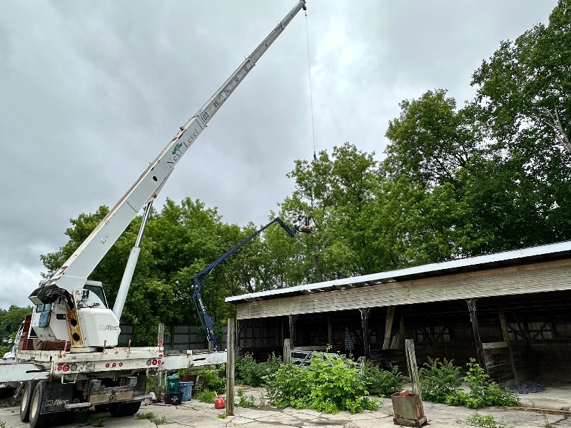 Tree Removal / Branch Removal / Stump Grinding * fully insured Lawn