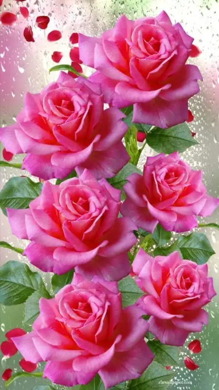 Massage therapy62863240182913123