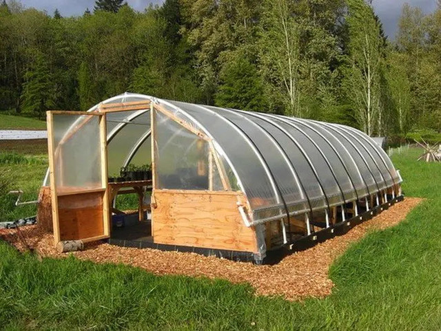 Looking for hoophouse/greenhouse in Plants, Fertilizer & Soil in Saskatoon