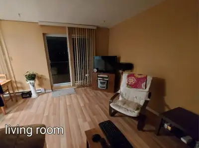 A bedroom in a two-bedrooms apartment in Guelph is available for rent. The apartment offers access t...