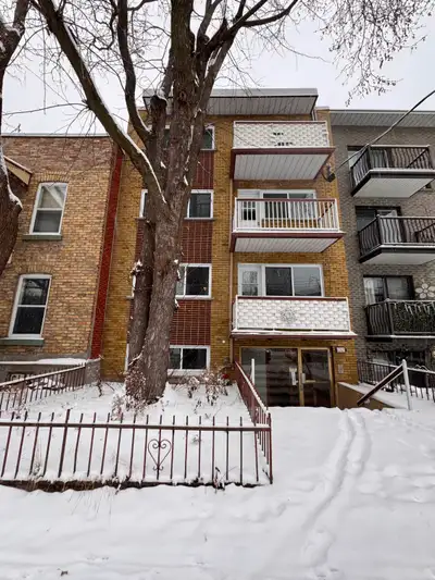 Studio spacieux entièrement rénové 1 MOIS GRATUIT Loyer abordable – prêt à emménager ! Situé Rosemon...