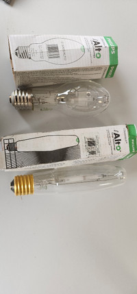 Light bulbs for yard lights