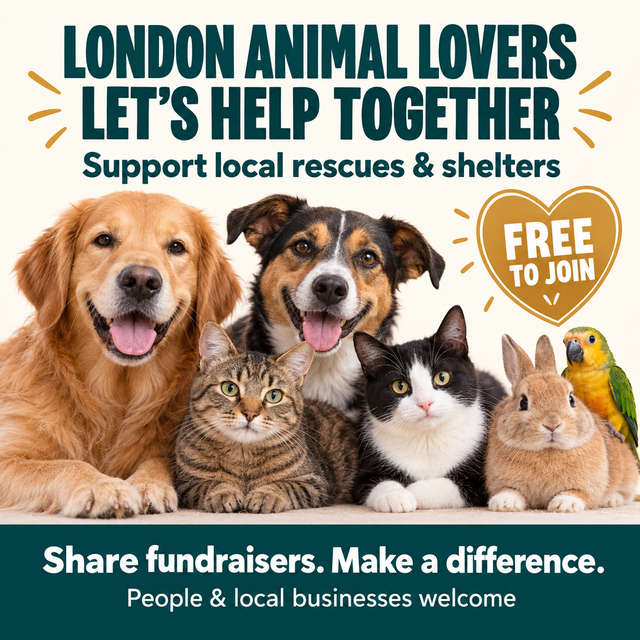 LONDON ANIMAL LOVERS WANTED — HELP LOCAL RESCUES & SHELTERS!