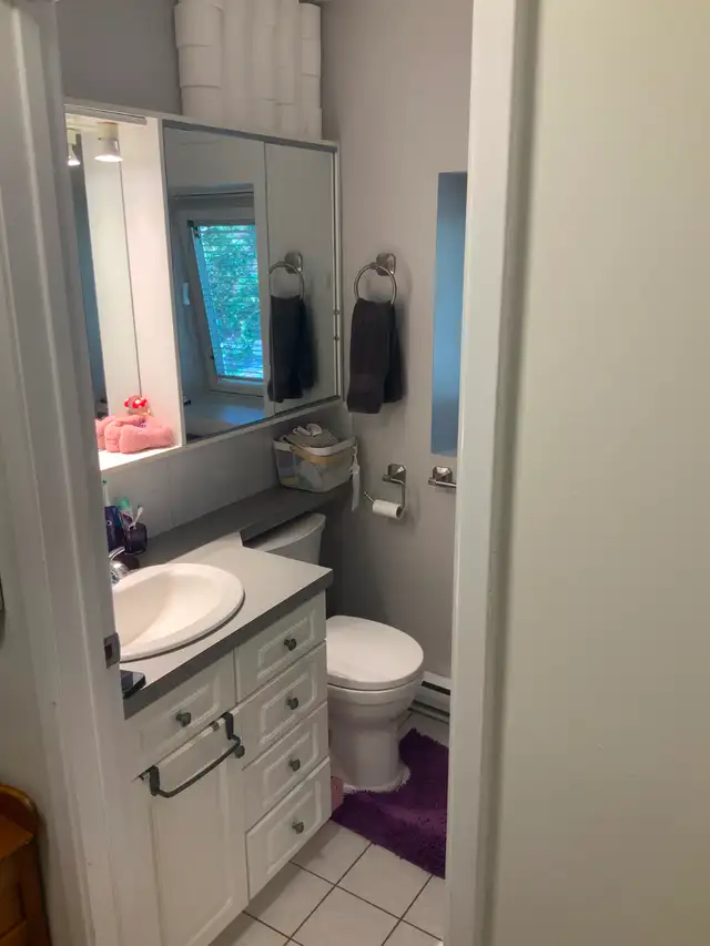 Looking for roommate (town house) - North End Halifax in Room Rentals & Roommates in City of Halifax - Image 5