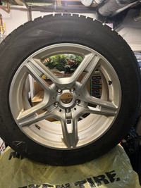 265/55/R19 Rims with Pirelli scorpion Ice & snow 