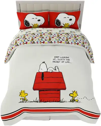 Queen Franco Peanuts & Snoopy Classic Pals Super Soft Comforter, View more