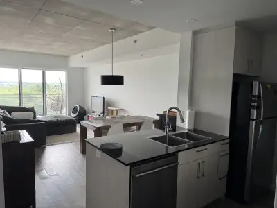 ***1 mois gratuit*** Cession de bail Saint-Nicolas 1 425 $/mois – Disponible dès maintenant! 3 1/2 l...