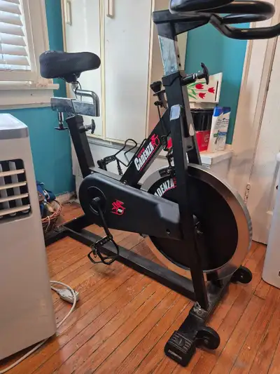 Keys Cadenza Pro indoor exercise bike, View more