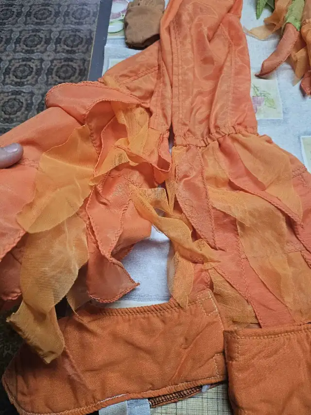 Costume Oiseau, medium in Costumes in Sherbrooke - Image 5