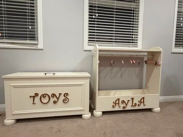Toy Box and Costume Organizer