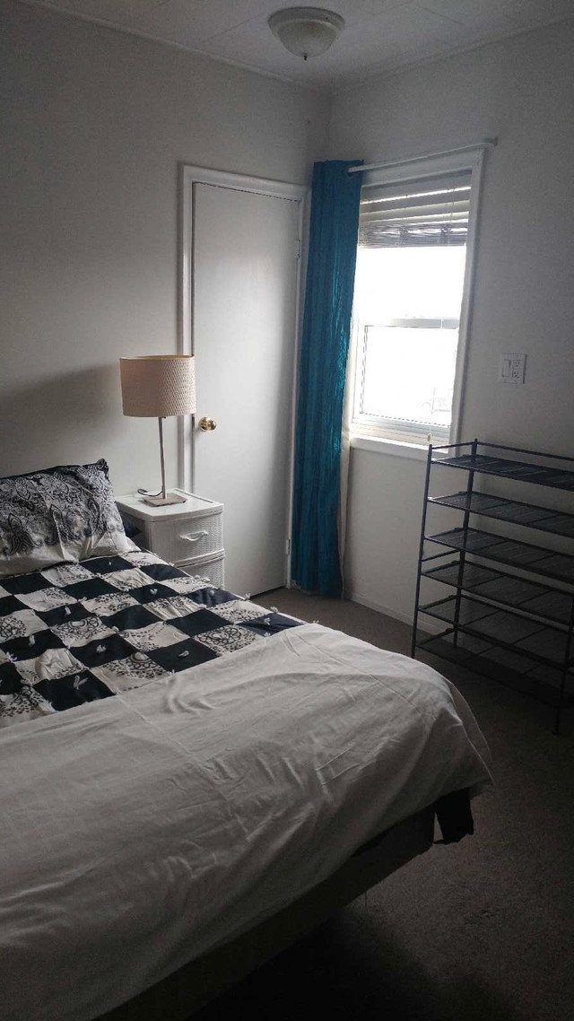 Room For Rent Brighton in Room Rentals & Roommates in Trenton - Image 2