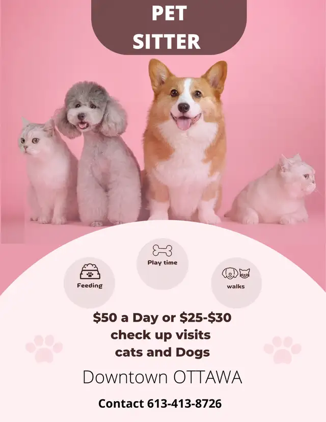 Loving & Reliable Pet Sitting – Downtown Ottawa in Animal & Pet Services in Ottawa - Image 2