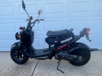 2015 Honda Ruckus